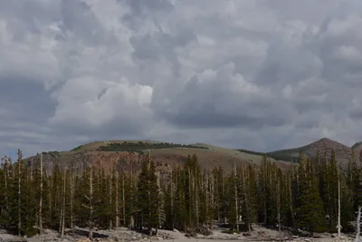 DSC_3016 (Large).JPG